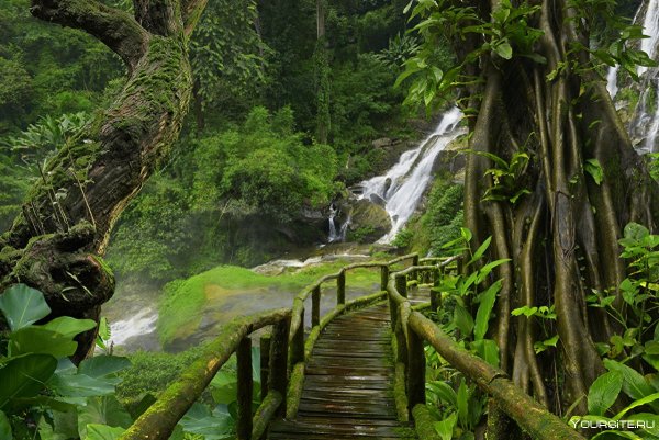 Амазонские джунгли тропический водопад