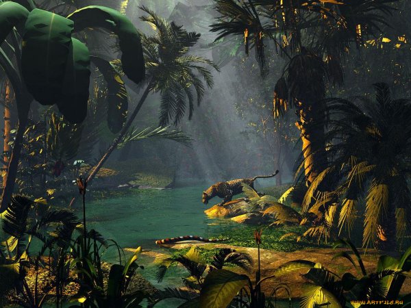 Аспидовые джунгли Tera