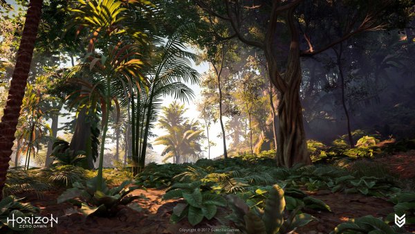 Джунгли фон