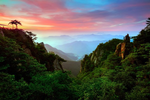 Тропические горы