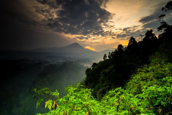 Тропические горные леса Индии