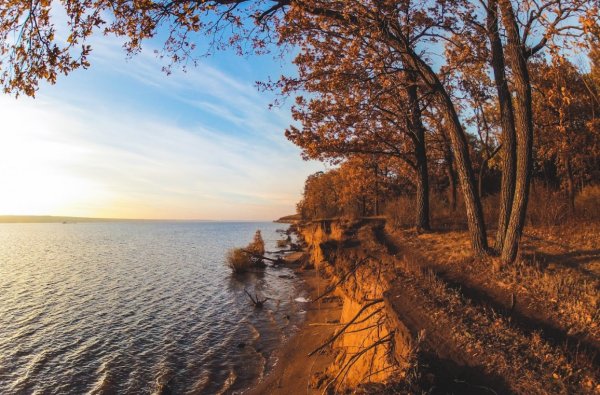 Ягодинский лес Тольятти
