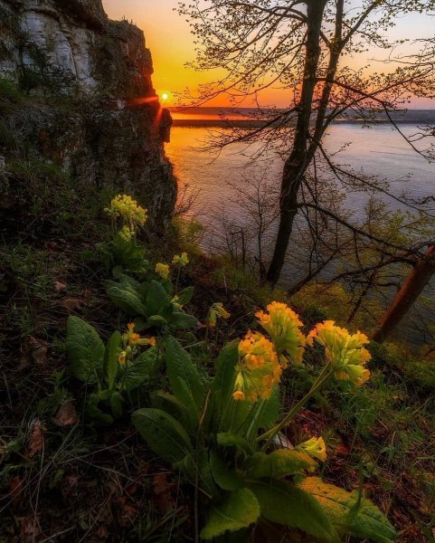 Жигулевские горы Волга рассвет