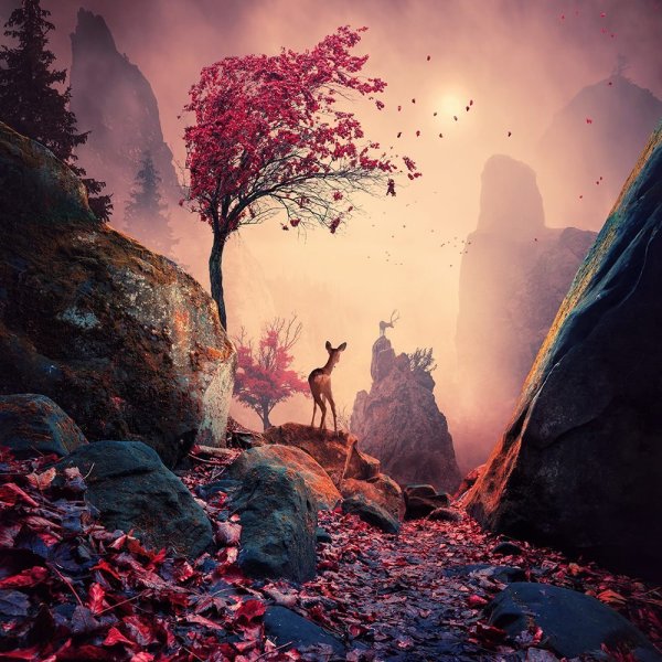 Волшебный пейзаж