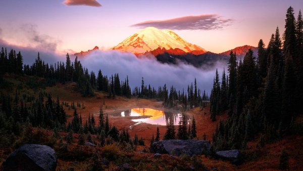 Национальный парк Маунт-Рейнир, штат Вашингтон