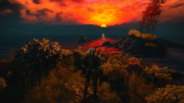 Туссент Ведьмак 2