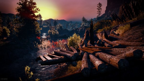 Ведьмак 3 природа