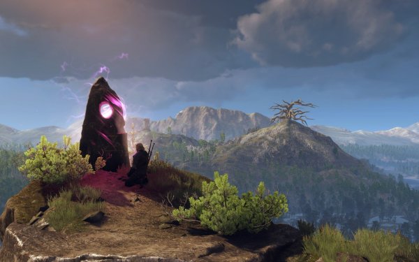 Велен Ведьмак 3 пейзажи