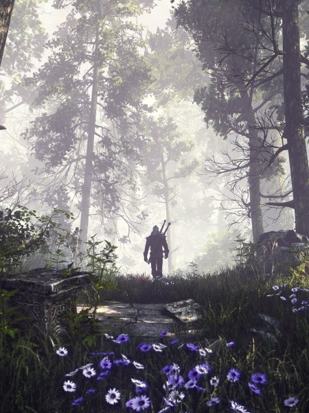 Ведьмак 3 лес