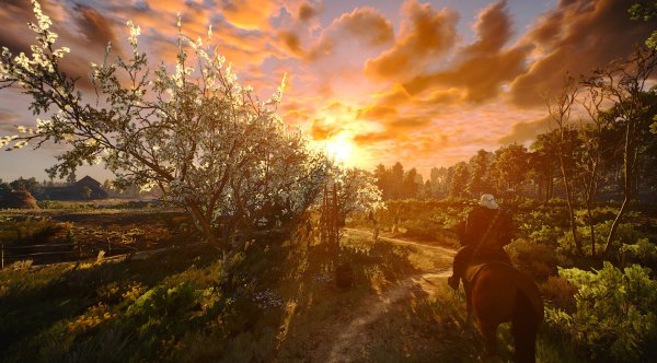 Велен арт Ведьмак 3