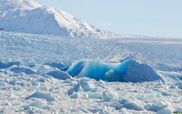 Во льдах Арктики