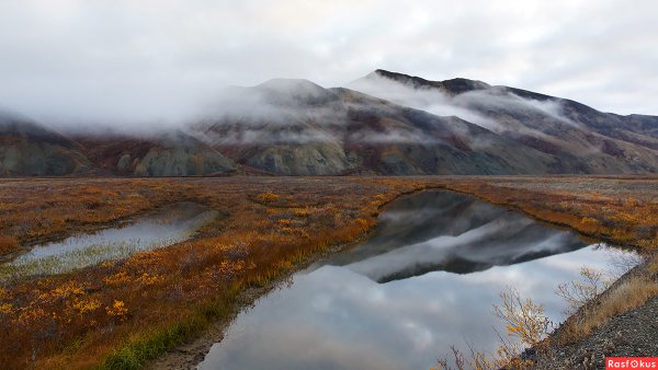 Анадырь тундра