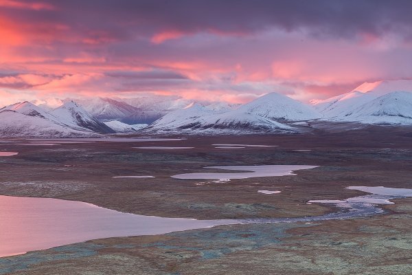 Климат тундры субарктический