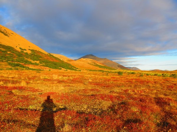 Осенняя природа Чукотки