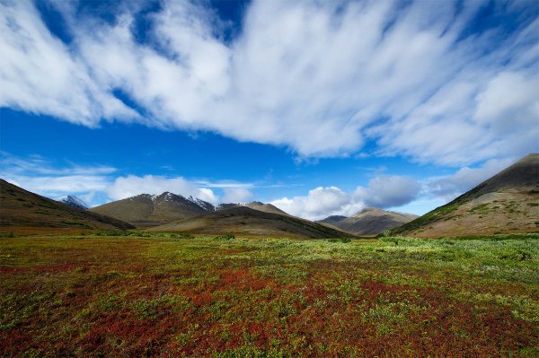 Чукотское Нагорье горы