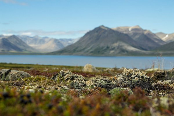 Билибино Чукотка природа