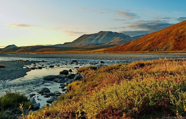 Чукотка тундра