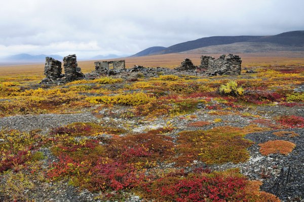 Чукчи пейзаж