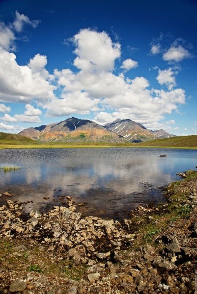 Чукотка остров Врангеля