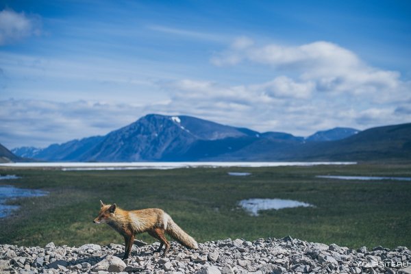 Залив Креста Чукотка