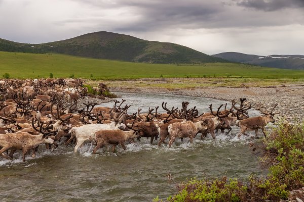 Ида Ручина Чукотка