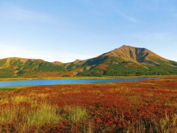 Чукотское море Аляска фото