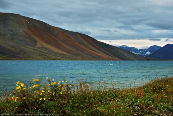 Яранга Коряков