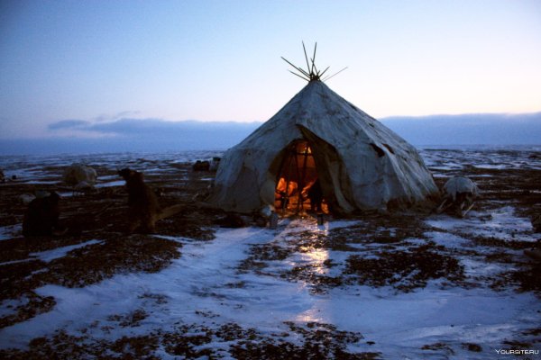 Чукотка Эгвекинот тундра