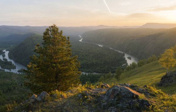 Леса горы Сибирь, Красноярский край