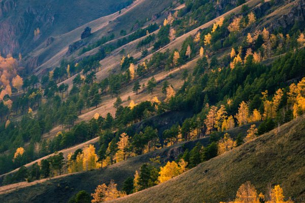 Красноярские пейзажи