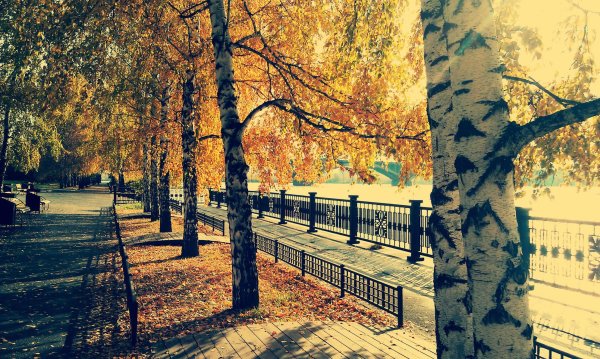 Набережная Енисея Красноярск осень