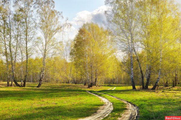 Весна в России