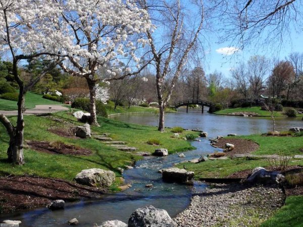 Природа веса