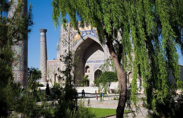 Самарканд Узбекистан природа