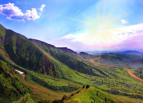 Узбекистан Ташкент природа