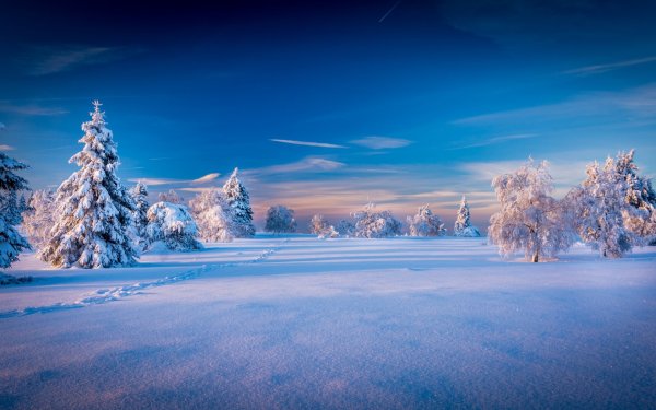 Зимняя природа