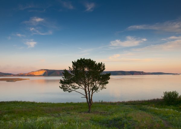 Сосны и Жигулёвское море Тольятти