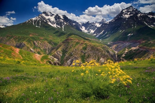 Табиати Душанбе