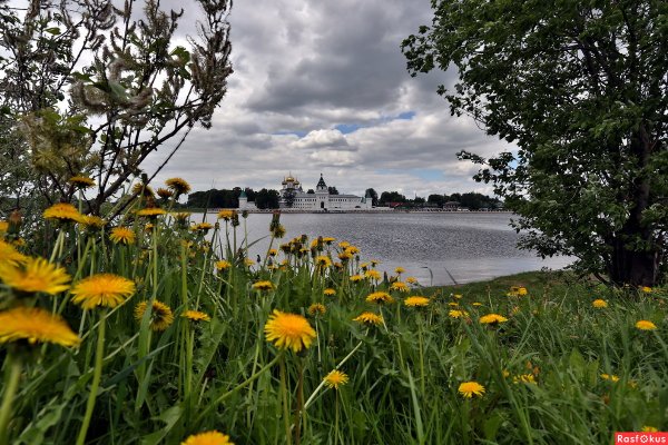 Кострома природа в городе