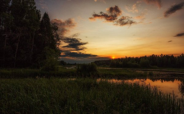 Природа Костромы и Костромской области