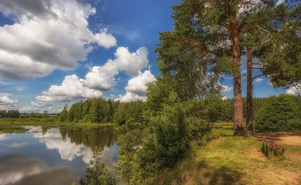 Костромская область летом