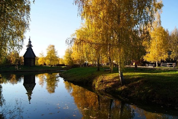 Кострома природа в городе