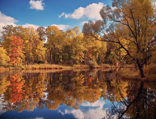 Осенний пейзаж Россия