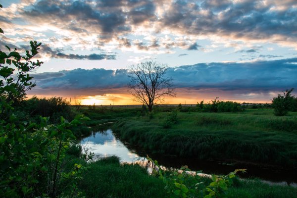 Муромский район природа