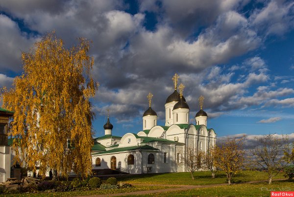 Муром природа