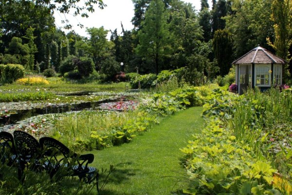 Садоводство дача