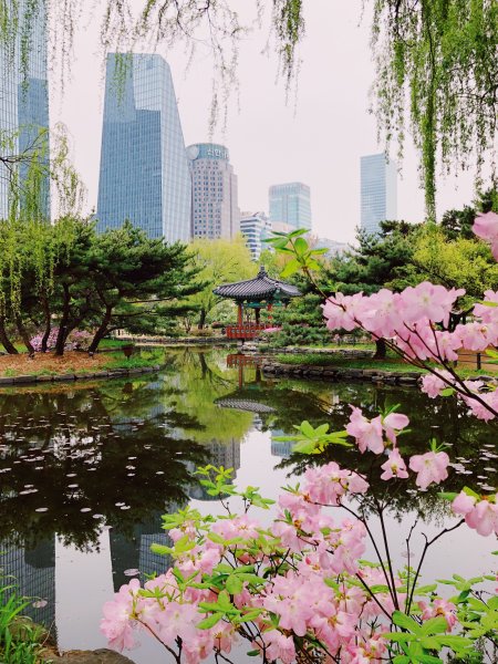 Сеул Южная Корея