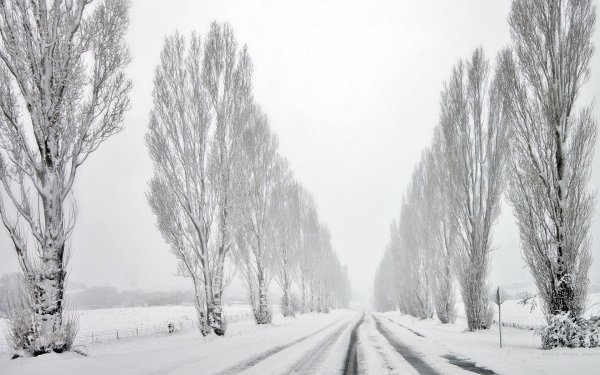 Зимний пейзаж карандашом