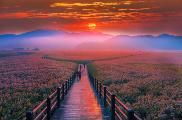 Южная Корея Страна утренней свежести