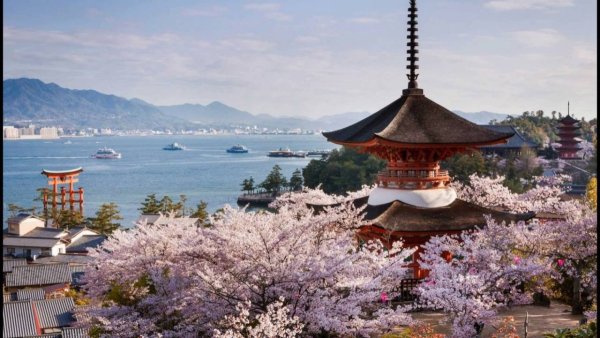 Корея дворец кёнбоккун природа